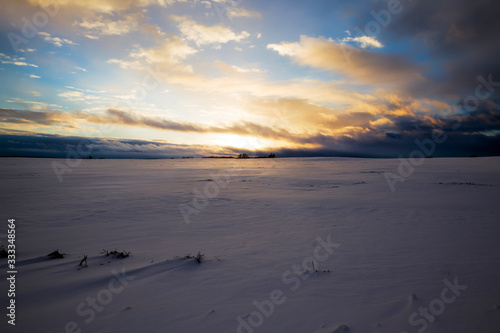 sunset over an agricultural field