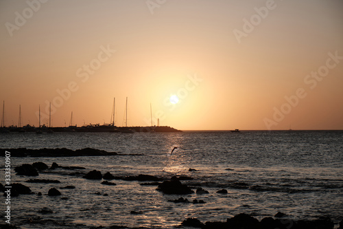 a view of a seagull flying over the atlantic ocean of the coast of the port of Punta del Este, Maldonado, Uruguay with a colorful sunset © Leandro