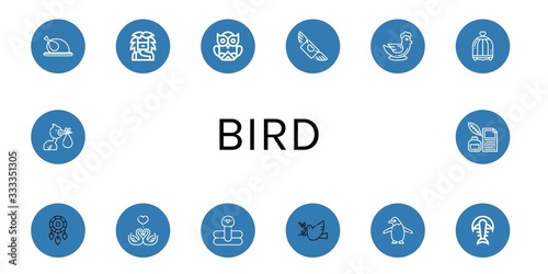 bird icon set