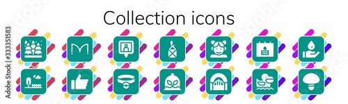 collection icon set