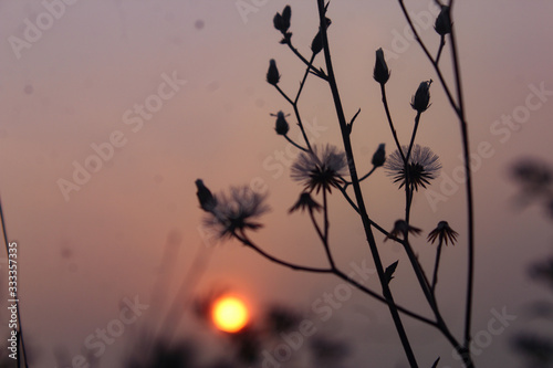Nature is gorgeous than what we think , and it always refresh our minds too.