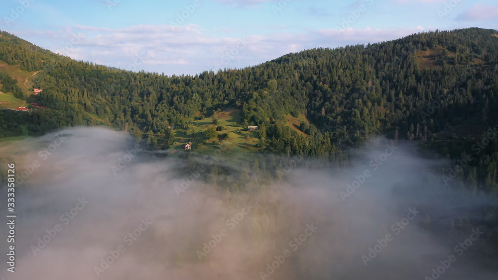 Aerial view of colorful mixed forest shrouded in morning fog on a beautiful autumn day