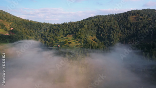 Aerial view of colorful mixed forest shrouded in morning fog on a beautiful autumn day