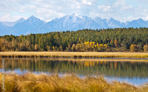 Picturesque autumn landscape with yellowed fields on the banks of an overgrown pond and snow-capped mountain peaks in the distance. Siberia, Buryatia, Eastern Sayan Mountains, Tunka Valley
