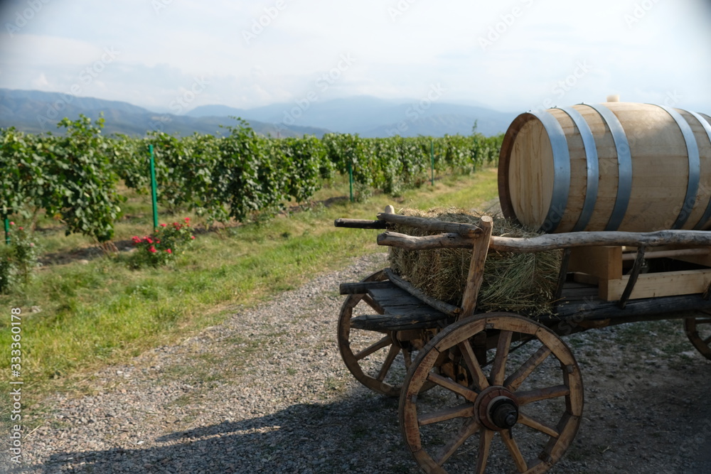 wooden barrel on a cart with hay on the background of fields with grapes