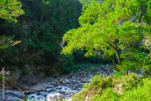 Valley Stream of Shakabang Stream  Taroko Scenic Area  Hualien  Taiwan