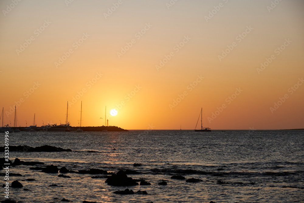 a view of a seagull flying over the atlantic ocean of the coast of the port of Punta del Este, Maldonado, Uruguay with a colorful sunset a view of a seagull flying over the atlantic ocean of the coast of the port of Punta del Este, Maldonado, Uruguay with a colorful sunset