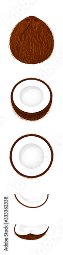 coconut brown fruit and half cut isolated on white background, illustration coconut brown half slice for clip art, coconut simple for icon