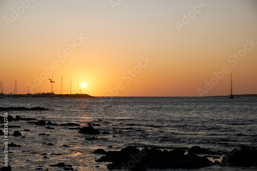 a view of a seagull flying over the atlantic ocean of the coast of the port of Punta del Este, Maldonado, Uruguay with a colorful sunset © Leandro