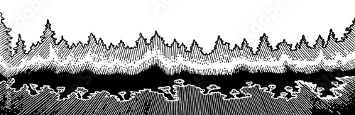 Sunrise forest vector isolated. Pencil, ink, marker on paper. On a white background. Strokes and lines. Dense thickets, mature trees, pine trees. A tropical forest.