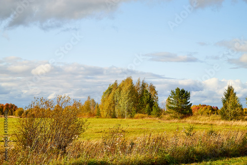 Autumn landscape with a field of yellow and green grass, haystacks and forest in distance