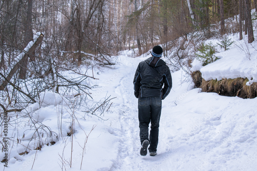 Man walks alone along a path in the forest. View from the back. Winter, white snow. Hands in pockets. Concept of a single hiking in the park.