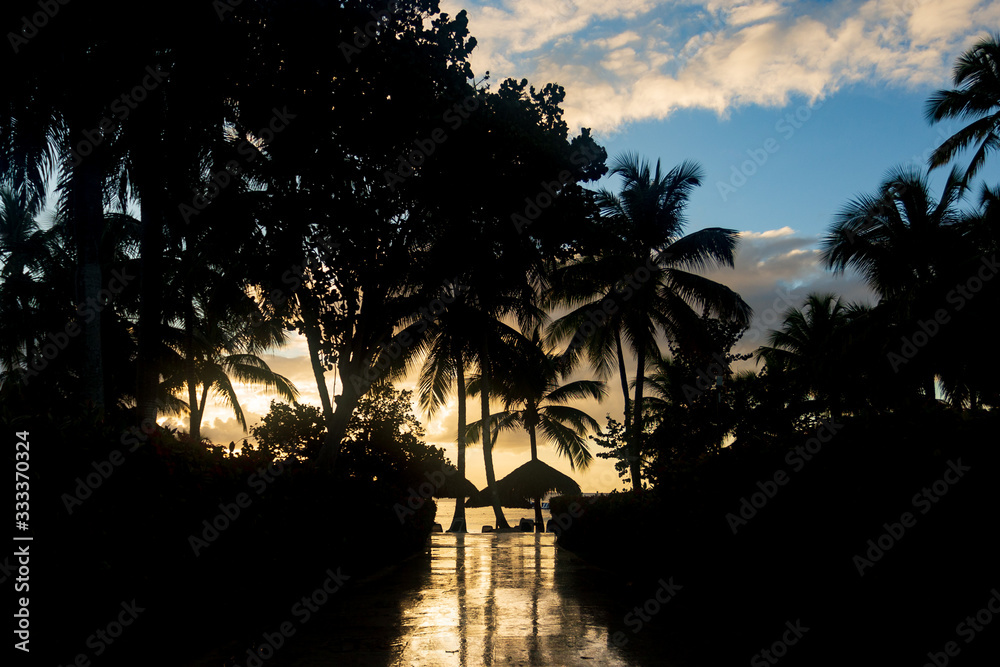 Fototapeta premium Atardecer en la playa con muchas Palmeras