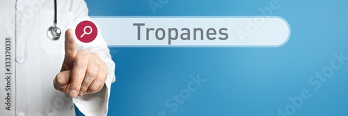 Tropanes. Doctor in smock points with his finger to a search box. The word Tropanes is in focus. Symbol for illness, health, medicine photo