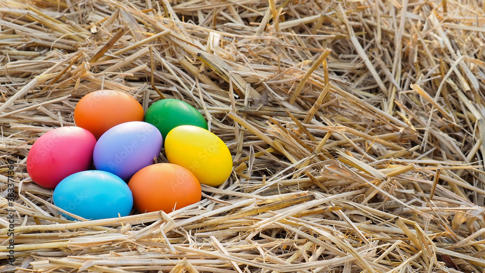Easter egg in a straw Easter egg in a straw