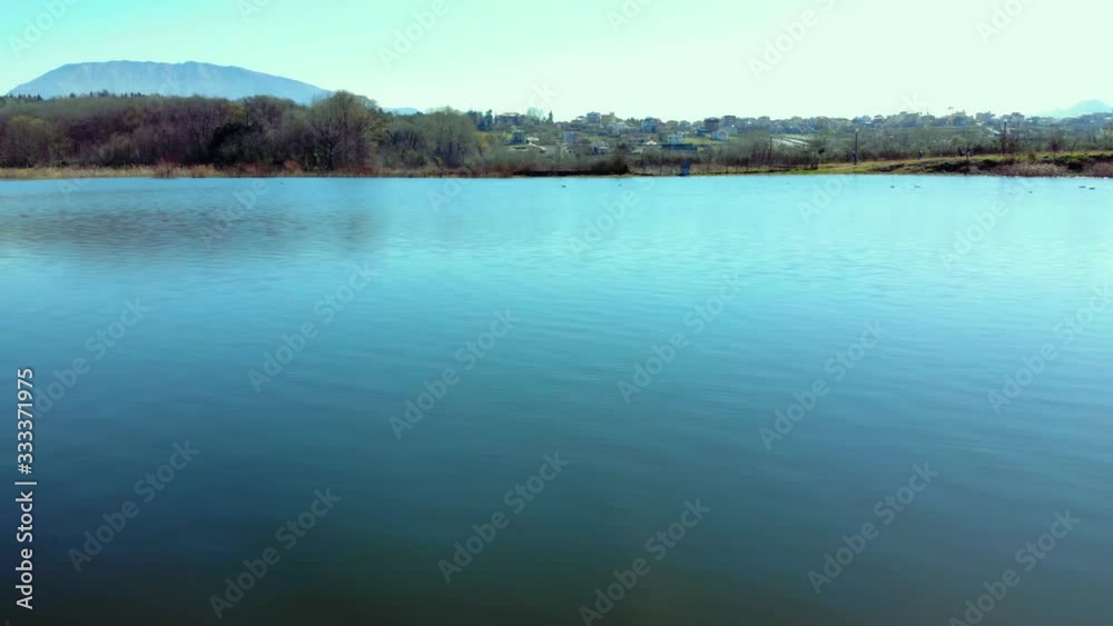 Dry reeds on calm clear water of lake of city park with trees forest at sunrise under bright blue sky background Dry reeds on calm clear water of lake of city park with trees forest at sunrise under bright blue sky background
