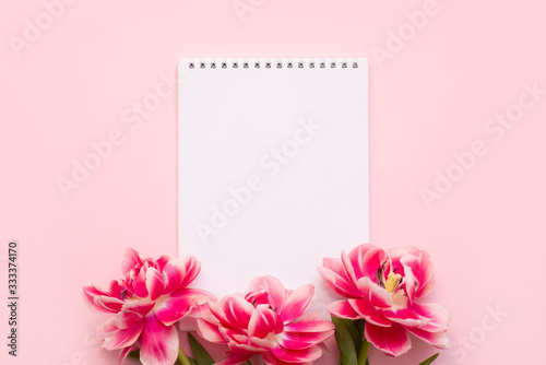 White spiral notebook lies on a pink background with three flowers of a tulip © Nastya