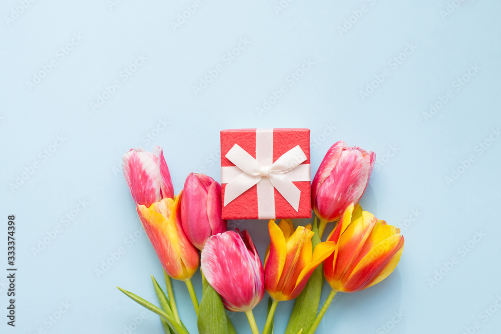 tulip bouquet with little red gift box on blue background