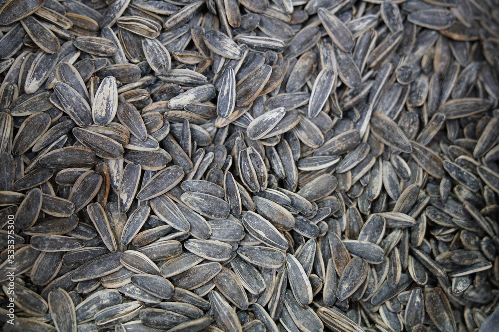 Fresh organic sunflower seeds stock photo