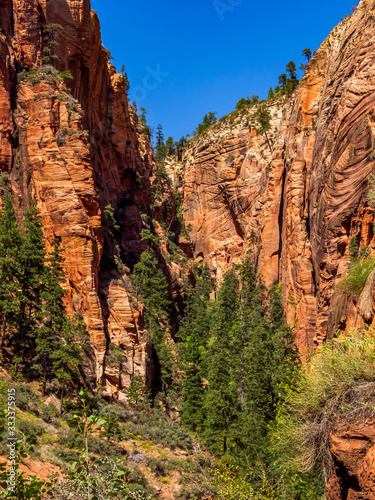 Southwest usa Zion National Park The main part of the park is Zion Canyon surrounded by the walls of the Deertrap, Cathedral and Majestic Mountain mountains. The Virgin River flows through the canyon.