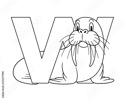 Animal alphabet. capital letter W, Walrus. Raster illustration. For pre school education, kindergarten and foreign language learning for kids and children. Coloring page and books, zoo topic.