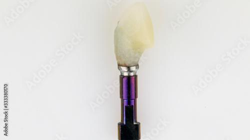 temporary dental crown on a special transfer, shot on a white background