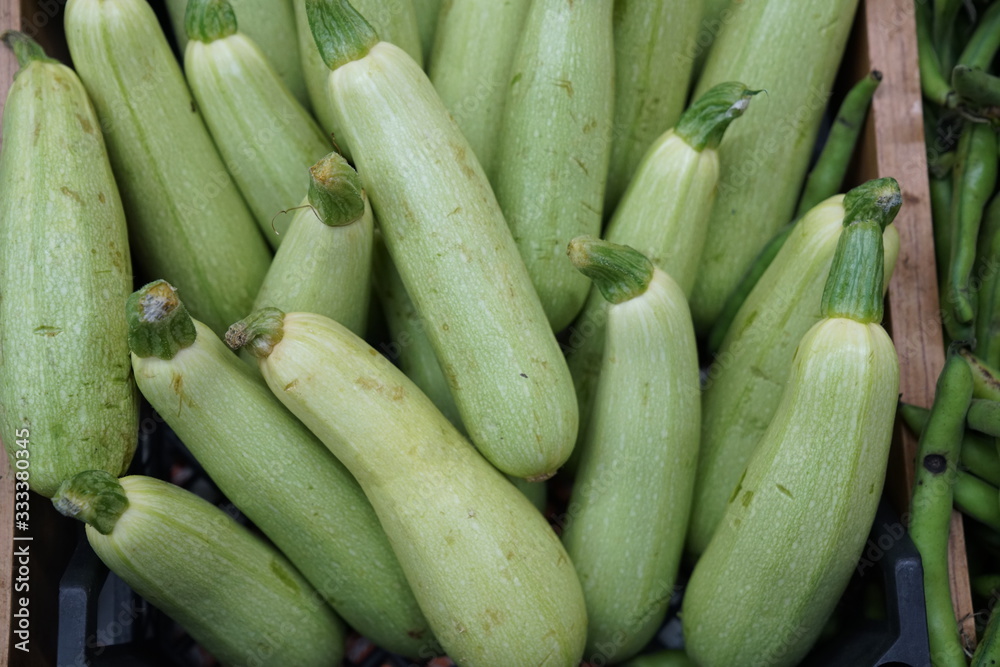 full frame zuccini stock photo full frame zuccini stock photo