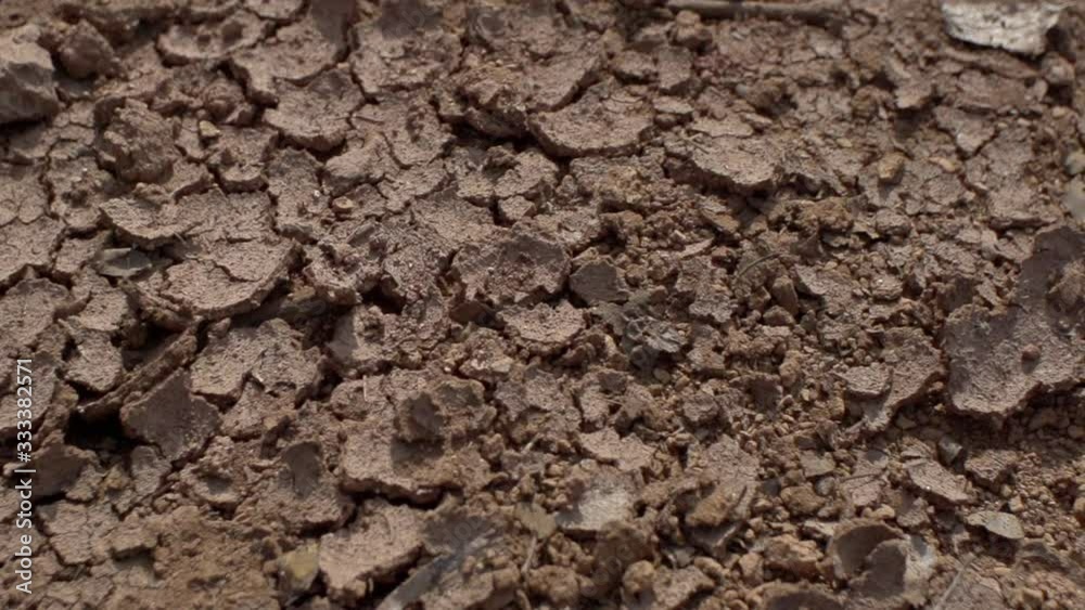 Ancient land, Indian desert, land dying of drought, red earth, all land in cracks Ancient land, Indian desert, land dying of drought, red earth, all land in cracks