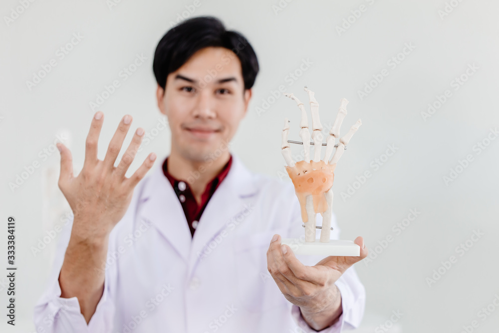 Physical Doctor with hand palm model showing anatomy in hand muscular system tendons ligaments. Physical Doctor with hand palm model showing anatomy in hand muscular system tendons ligaments.