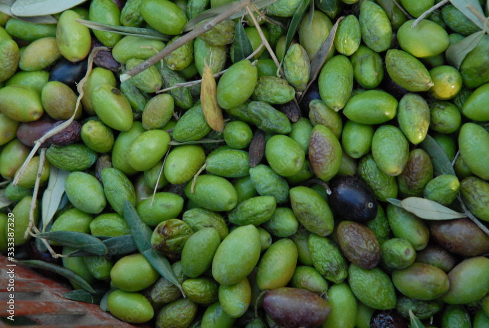 OLIVES DE BOUCHE OLIVES DE BOUCHE