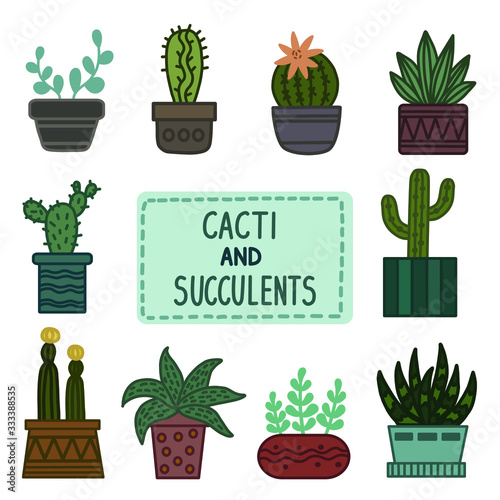 Cactus and succulent plants in pots. Illustration set of hand drawn cacti and succulents growing in cute little pots. Simple cartoon vector style.