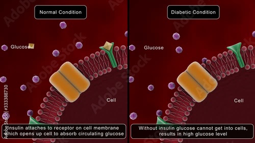 Biomedical animation showing glucose absorption in cell. photo