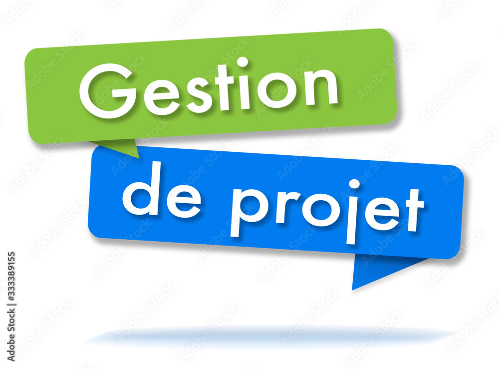 Project management in colored speech bubbles and french language Project management in colored speech bubbles and french language