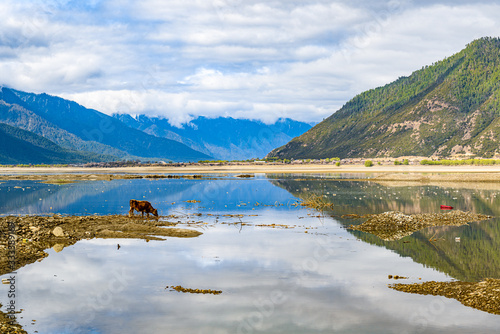 Nyingchi (Linzhi) landscape in Tibet China. 