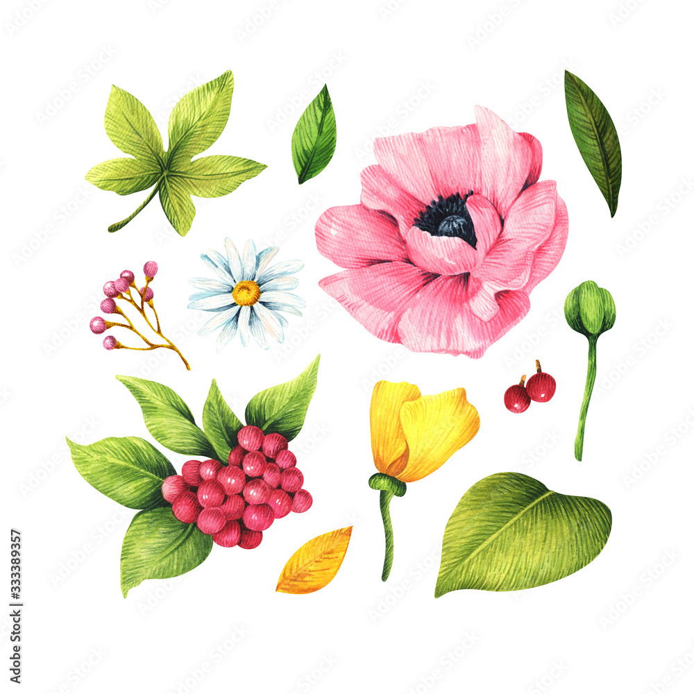 Floral elements for design. Set of flowers and leaves. Watercolor illustration isolated on white background. Floral elements for design. Set of flowers and leaves. Watercolor illustration isolated on white background.