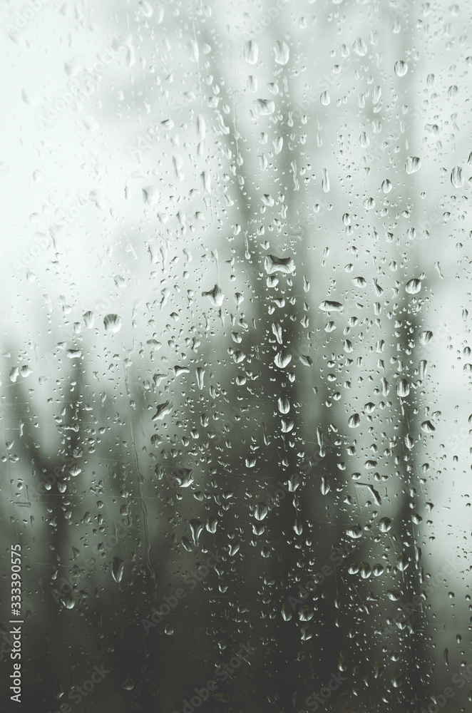 rain drops on the window rain drops on the window