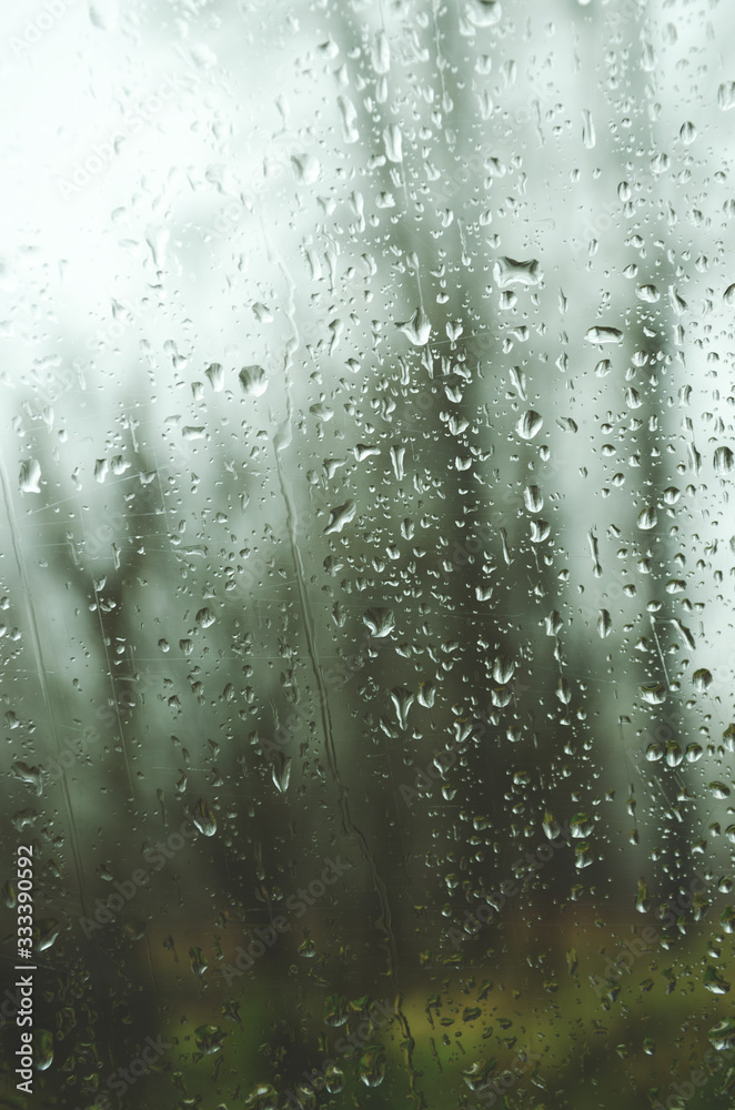 Obraz premium rain drops on the window