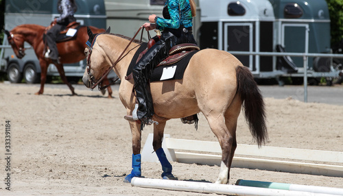 Western horse with rider straightening backwards through two poles on a trail test..
