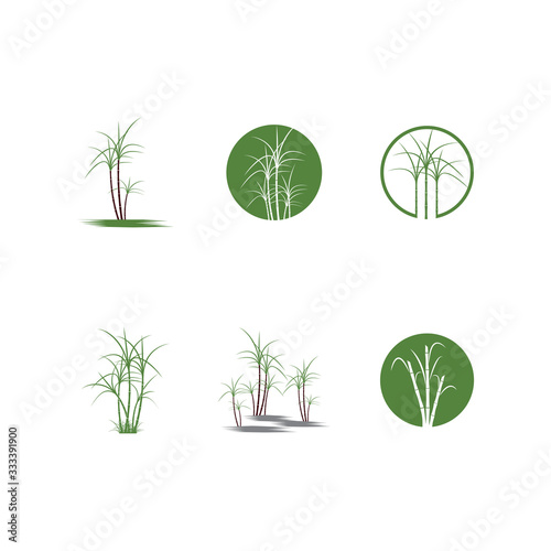Sugar cane Logo Template vector
