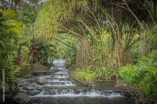 Sources d'eau chaude d'Arenal au Costa Rica photo