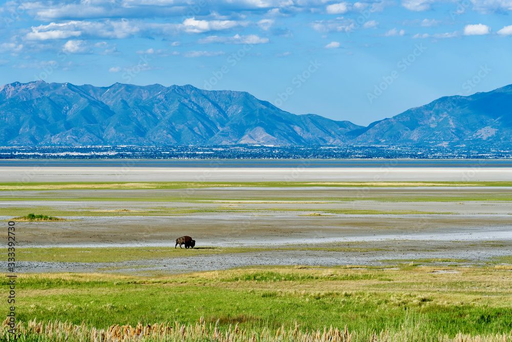 Obraz premium Beautiful landscape on Antelope Island