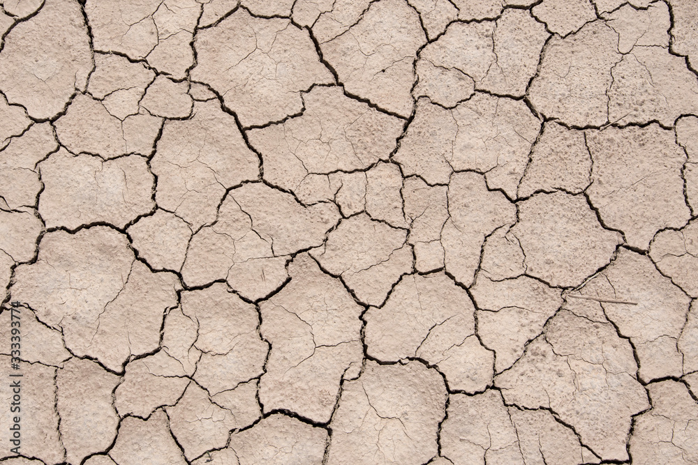 Dried soil (Playa or so called 'takir'). Uzbekistan, Turkmenistan, Kyzylkum Desert, Central Asia. Dried soil (Playa or so called 'takir'). Uzbekistan, Turkmenistan, Kyzylkum Desert, Central Asia.