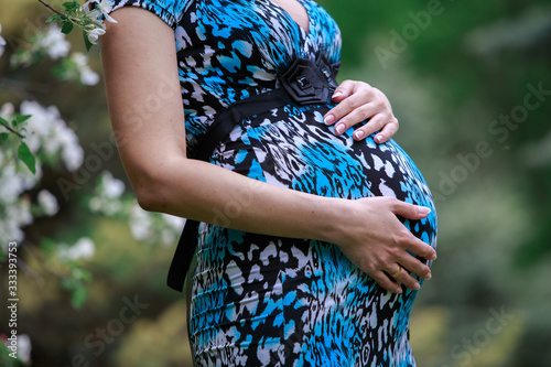  portrait a pregnant woman tenderly strokes and touches the belly on nature. tummy of pregnant woman with in blosooming spring park in sunny day with copy space for text