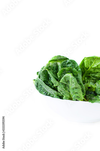 Green vegetables. Green fruits and vegetables on a white background. Apples, parsley, spinach, arugula and lettuce on a white background. Top view. Spinach and vegetable smoothies with copy space