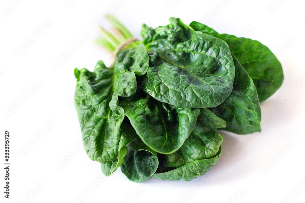 Spinach pattern background on white. Top view