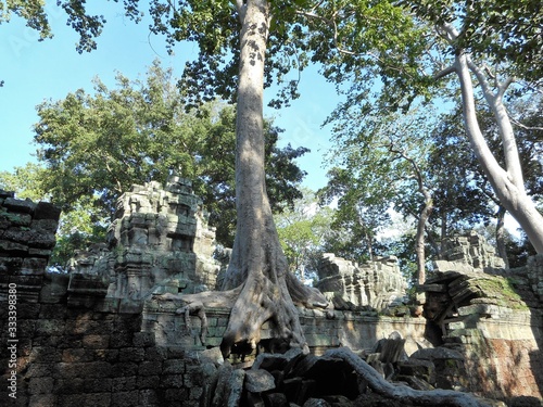 シェムリアップ、タプローム寺院