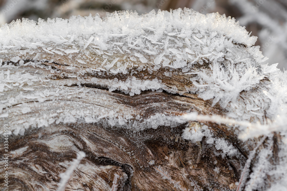 Ice crystals formed on a dead tree during a heavy frost. Ice crystals formed on a dead tree during a heavy frost.