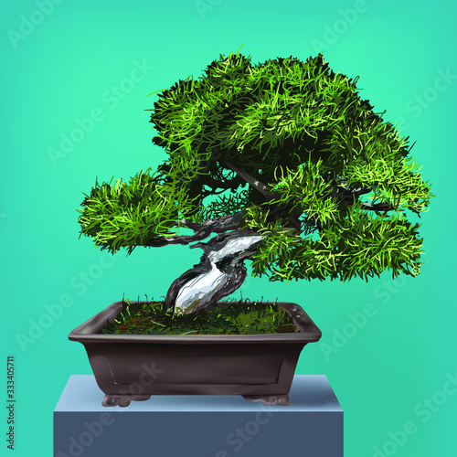 Bon Sai Tree Real Vector Illustration photo