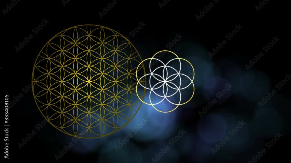 The Flower of Life The Seed of Life and the Egg of Life