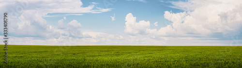 Summer landscape green field and blue sky with clouds web banner